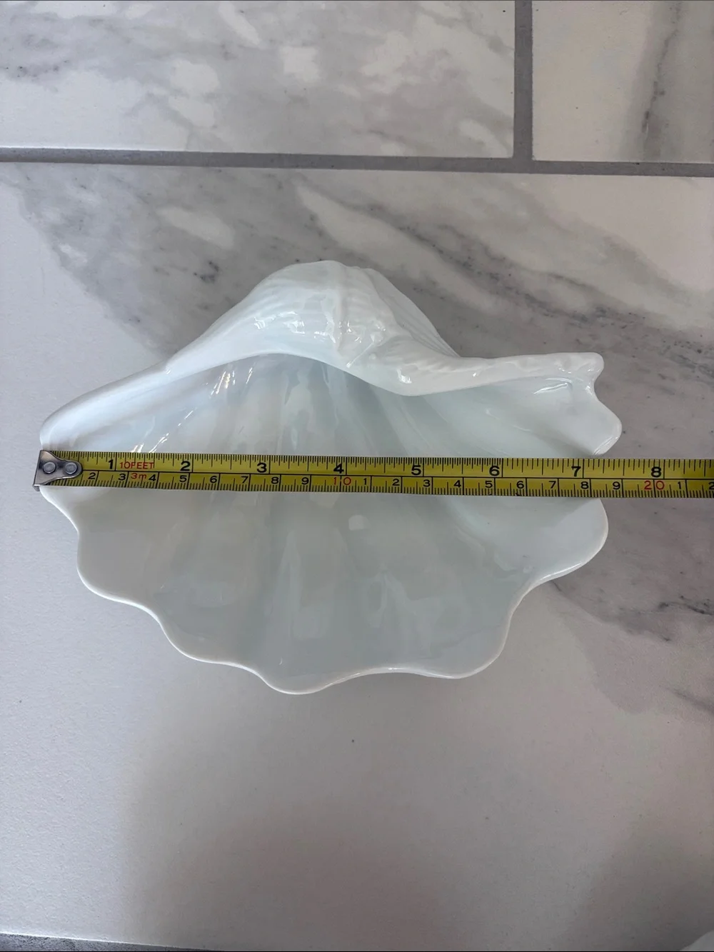 Pottery Barn Under the Sea Collection - Clamshell, Nautilus, Murex Conch